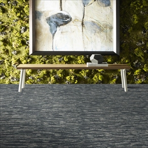 Tidewater 18 x 36 Tile